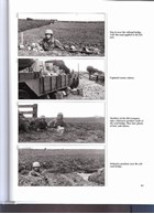 Red Shines the Sun: A Pictorial History of the Fallschirm-Infanterie