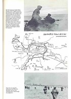 Leningrad - Wolchow - Koerland. Beeldverslag van de Legergroep Noord 1941 - 1945