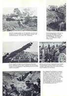 Leningrad - Wolchow - Koerland. Beeldverslag van de Legergroep Noord 1941 - 1945