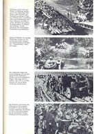 Leningrad - Wolchow - Koerland. Beeldverslag van de Legergroep Noord 1941 - 1945