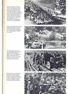 Leningrad - Wolchow - Kurland. Pictorial History of the Army Group North 1941 - 1945