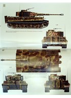 Tigers and Königstiger of the LSSAH and s.SS-Pz.Abt. 101/501