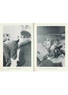 The Battle in the Northern Part of the Eastfront - Army Group North 1941-1945