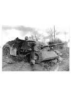 Panzerjäger - Technical and Operational History - Vol. 4