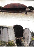 Vesting Pula