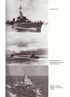 Torpedoboten en Torpedobootjagers in Actie 1939-1945