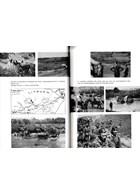 290th Infanterie-Division - Chronicle in Pictures