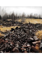 Relics of the Cold War