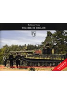 Tiger tanks in Kleur