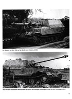The Tankdestroyer 'Ferdinand' - Tankdestroyer Tiger (P), Porsche Type 131
