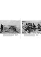 Wiking Sommer - III.Bataillon, SS-Panzergrenadier Regiment "Germania"
