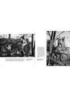 Wiking Sommer - III.Bataillon, SS-Panzergrenadier Regiment "Germania"