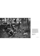 Wiking Sommer - III.Bataillon, SS-Panzergrenadier Regiment "Germania"