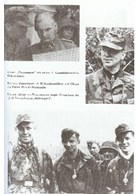 Grenadiers