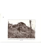 The World War in it's harsh Reality - World War One