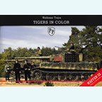 Tiger tanks in Kleur
